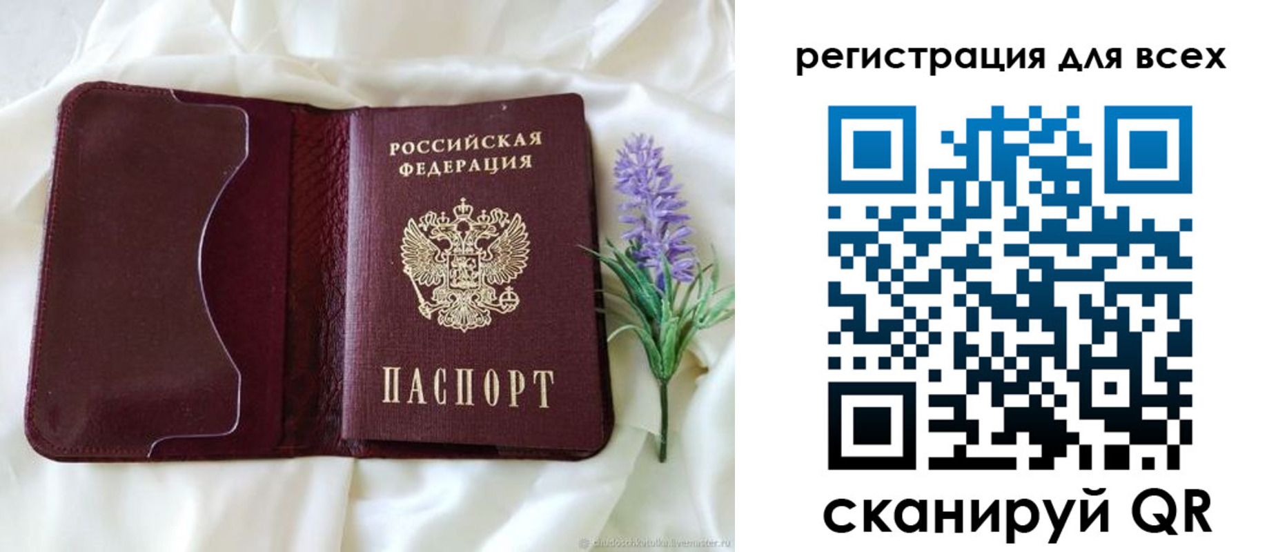 прописка 2025 в Пионерском